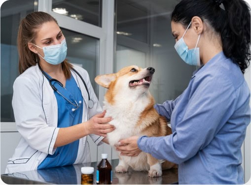 Image of healthcare worker at a desk on a laptop and virtual medical related icons floating on top